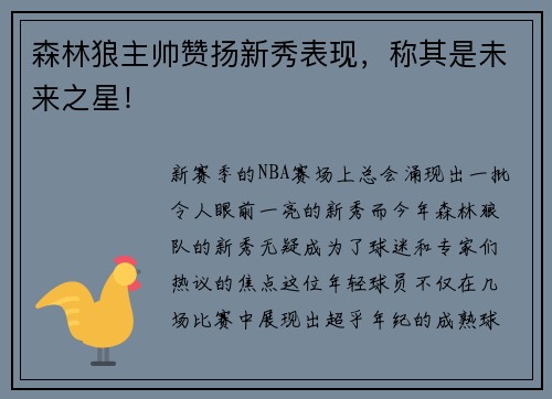 森林狼主帅赞扬新秀表现，称其是未来之星！